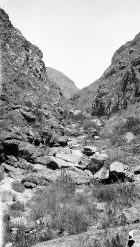Looking up Tinaja canyon, from near elevation 740 feet