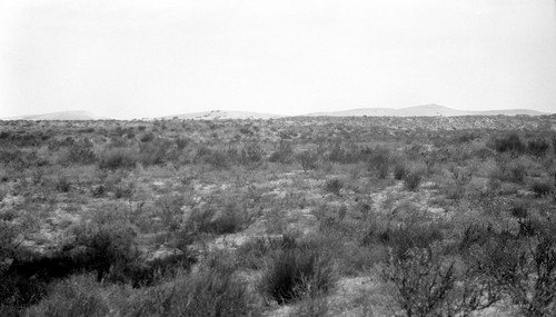 Facing northeast toward active dune near Socorro