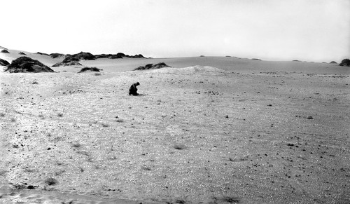 Shell heaps among dunes, southwest side of San Antonio arroyo mouth at the ocean