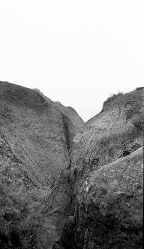 Looking west down one of the large canyons on the Rosarito Plain that cuts across the lower terrace in unconsolidated dark, sandy silt upstanding material