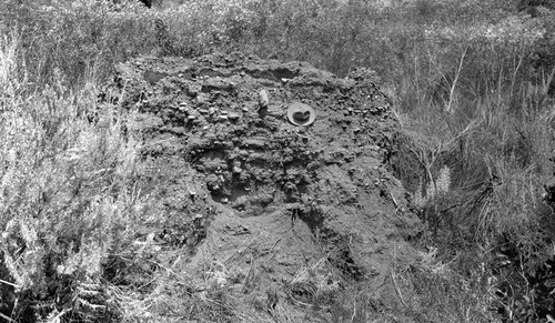 A "great horno" at the Mission Santo Domingo from the valley side