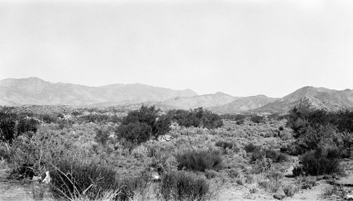 Sierra Salvatierra in background, part of Arroyo León Upland in foreground, with characteristic granite outcroppings and hills and bushy vegetation