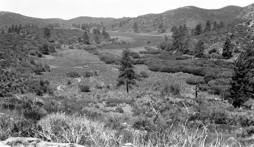 Santo Tomás Valley (Sierra de San Pedro Mártir), near upper end, facing due west from mountain on south side