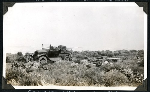 Our first camp in Mexico, among mescal plants