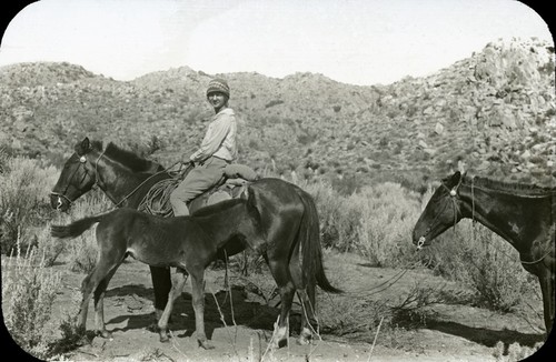 Yvonne Meigs with riding horses