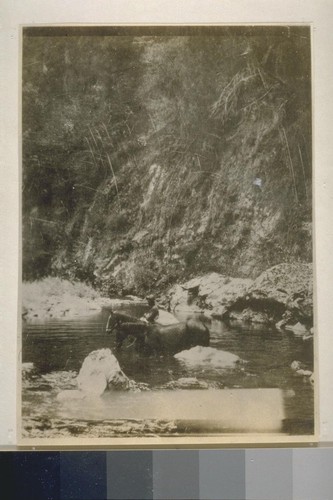 Trinity River and canyon; 12 prints, 3 negatives