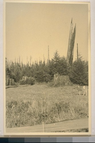 Athapascan territory; Smith River, Calif. July 1934