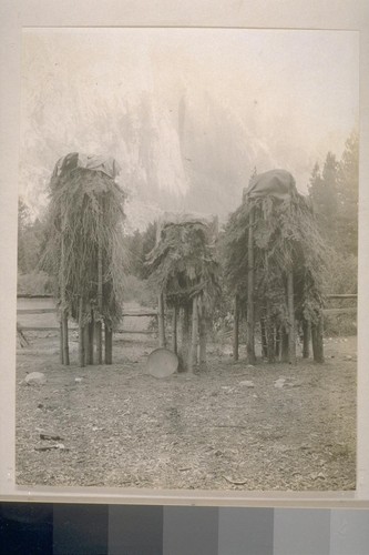 Acorn caches; Yosemite Valley; 8 prints