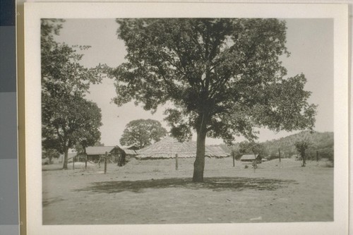 Coyote dances and roundhouse; Grindstone Rancheria; May 1923; 48 prints, 9 negatives