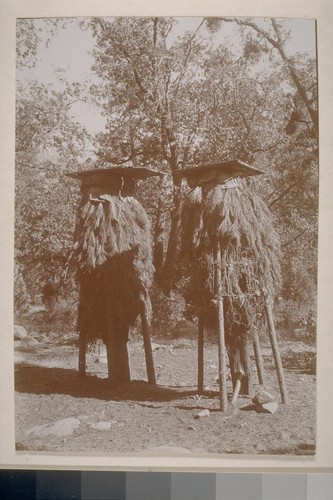 Acorn caches; Yosemite Valley; 8 prints