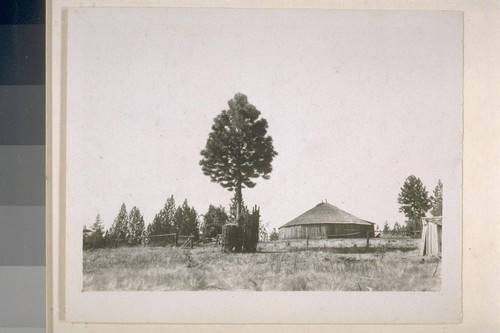 Acorn caches, mortars and houses at Ha-cha-nah; October 1905; 7 prints