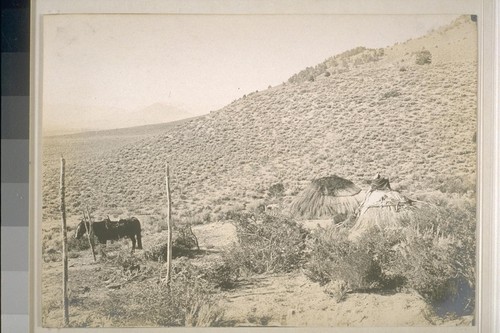 People and scenery; 1901; 19 prints, 7 negatives