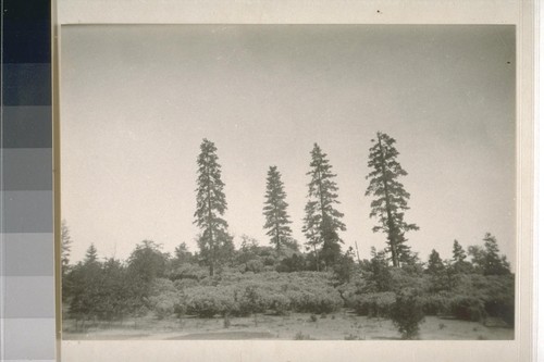 Pit River, Scenery, near Sacramento River; 16 prints, 10 negatives