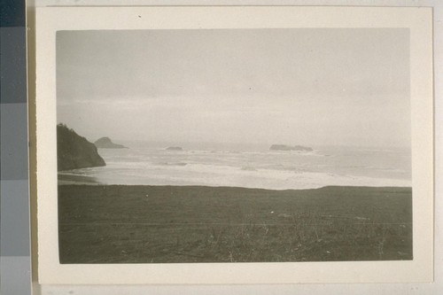 Trinidad Bay, Humboldt Co., Calif. October 1920