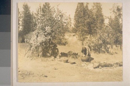 Preparation of acorn mush; Ha-cha-nah; October 1908; 12 prints