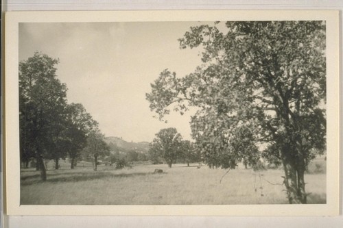 Cortena Rancheria, Colusa Co.; October 1923; 7 prints