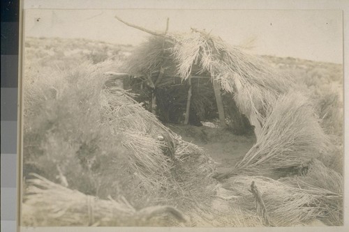 People and scenery; 1901; 19 prints, 7 negatives