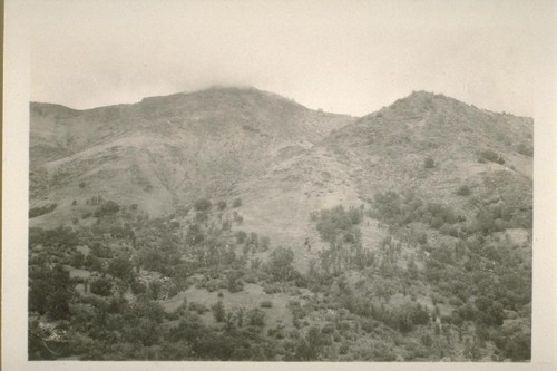 Mill Valley, near Dunlap; 1930; 24 prints, 8 negatives