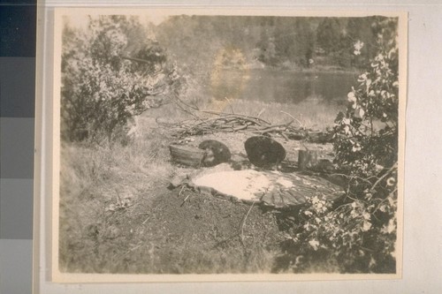 Preparation of acorn mush; Ha-cha-nah; October 1908; 12 prints