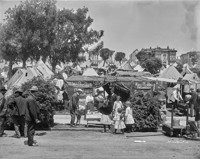 Jefferson Park, "The Whole Dam Family"