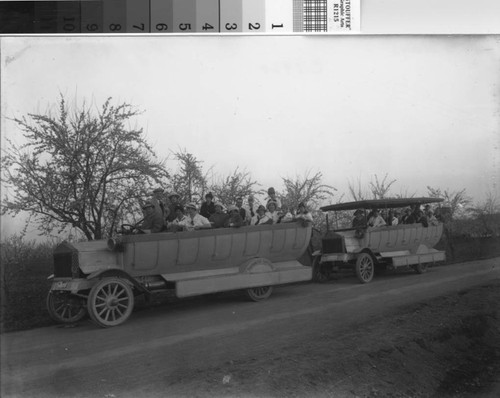 Two San Francisco Sightseeing Company open air buses carrying carrying passengers up Mount Tamalpais