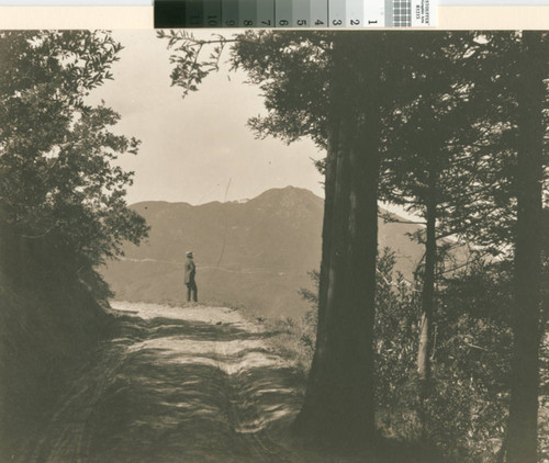 Man looking at view of Mount Tamalpais