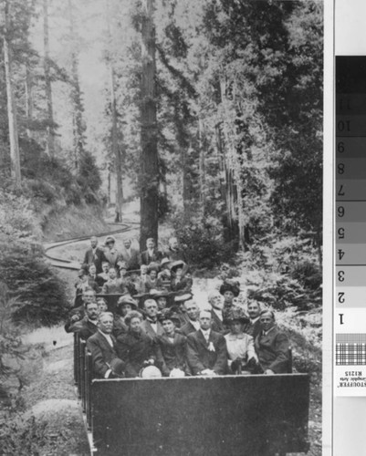 Gravity cars from the Mount Tamalpais and Muir Woods Railway coasting down from Mount Tamalpais