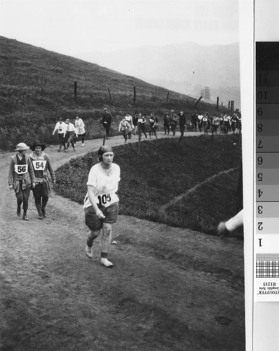 Runners in the third Women's Hike (Dipsea Race) coming to the top for spurt to Joe's place