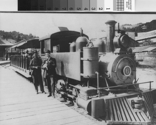 Lee Street Locale engine No. 6 and train at the Mill Valley Depot