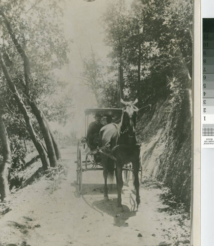 Dr. Alexander Warner driving his horse drawn carriage through Warner Canyon