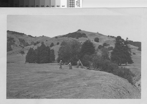 Golfing on the hills of Mill Valley