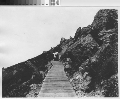 The walk at the top of Mount Tamalpais