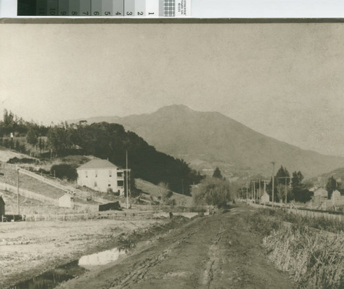 Miller Avenue looking towards Mill Valley and Mount Tamalpais
