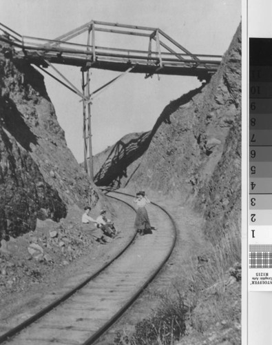 The Hiker's Bridge above the Mountain Home on the Mount Tamalpais & Muir Woods Railroad