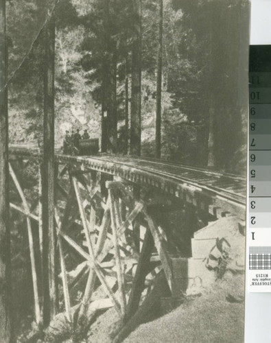 Gravity car coasting down Mount Tamalpais to Muir Woods