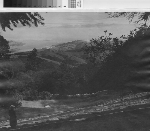 Man standing at the top of the Mountain Theater looking out over the panoramic scene down the mountain to the Bay