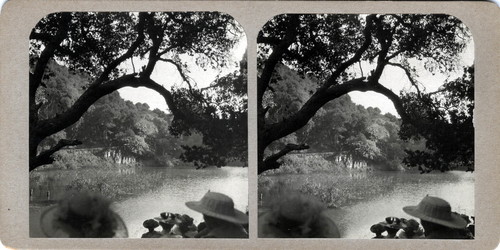 Stereoscopic photograph of Lake Aliso at Mills College