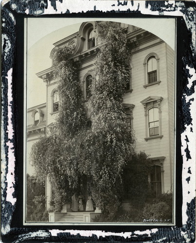 Photograph of Mills Hall rose porch at Mills College