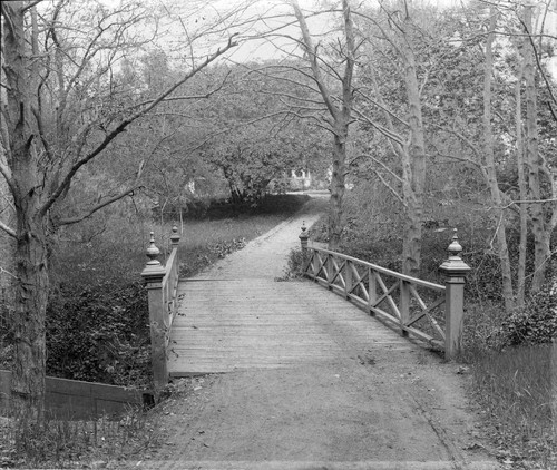 Photograph by Taber of a bridge at Mills College