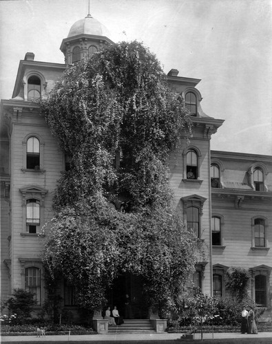 Photograph of Mills Hall rose porch at Mills College