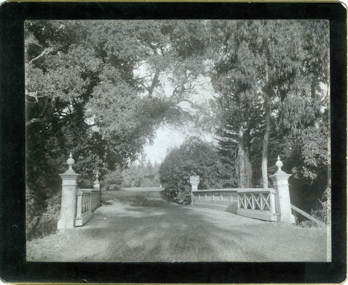 Photograph of a bridge and path at Mills College