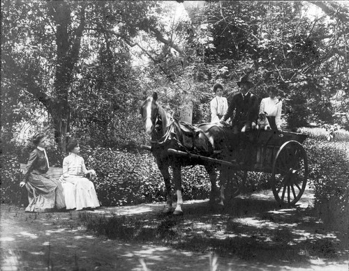 Photograph of horse cart at Mills College