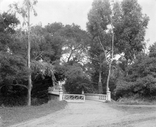 Photograph by Taber of a bridge and path at Mills College