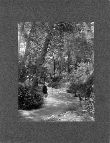 Photograph of a creek at Mills College