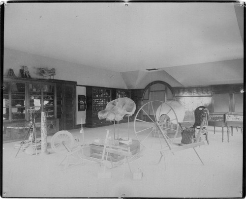 Photograph by Taber of the museum in the Nathaniel Gray Hall of Science at Mills College