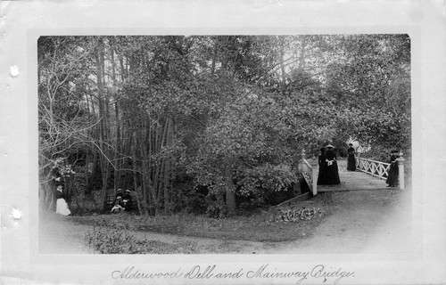 Photograph of Mills College grounds