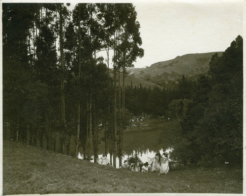 Photograph of a spring pageant at Mills College