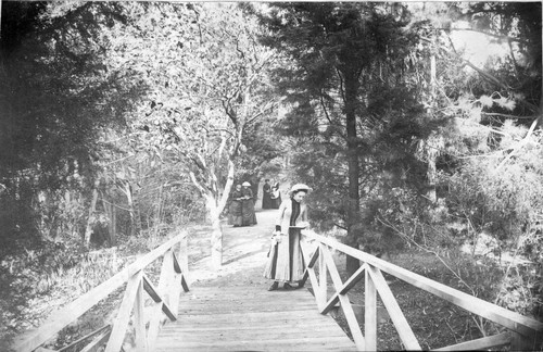 Photograph of a bridge at Mills College