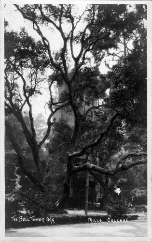 Photographic postcard of Mills College