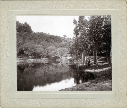 Photograph of Lake Aliso at Mills College